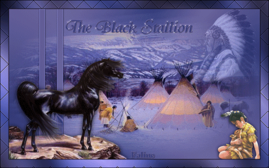 775540theblackstallion550