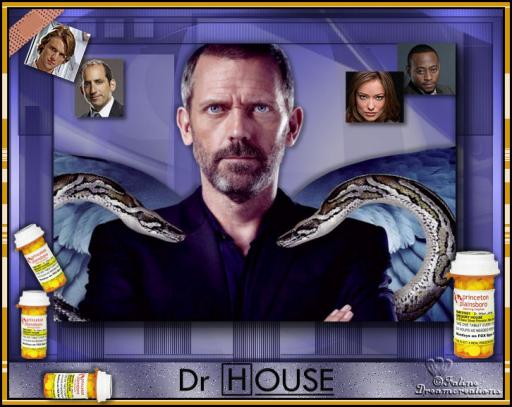 Dr greg house