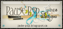 Pause PSP Jadedesign